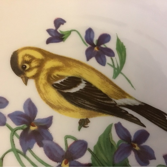 Bavaria Schumann Arzberg Germany plate.  Vintage - Picture 2 of 6